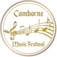 Music Festival Category or Class